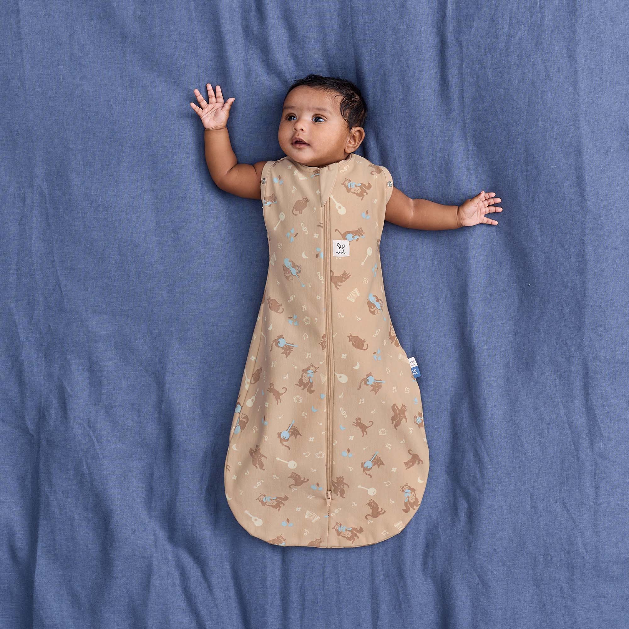 ergoPouch Cocoon Swaddle Bag Melody 1.0 tog
