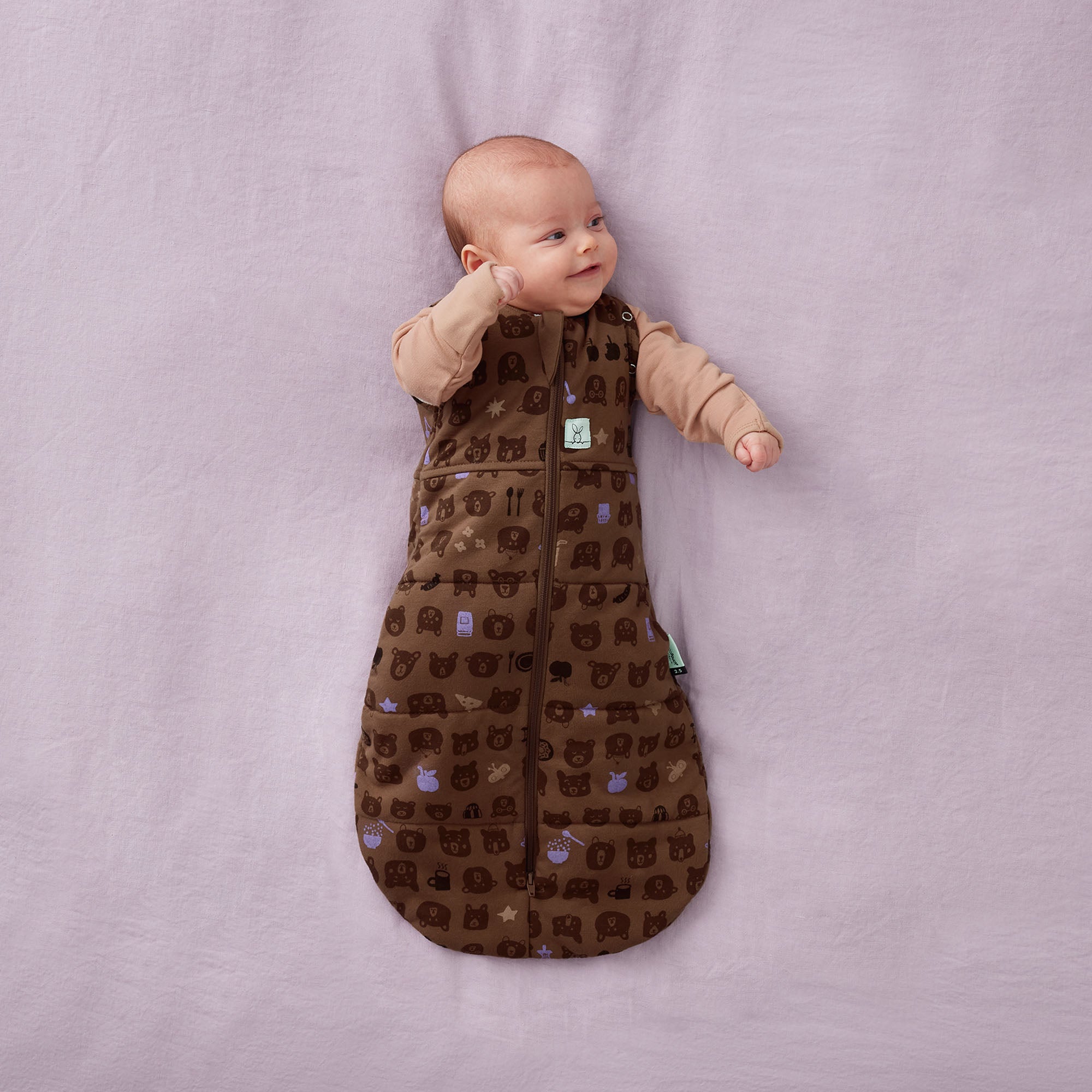 ergoPouch Cocoon Swaddle Bag 2.5tog Picnic