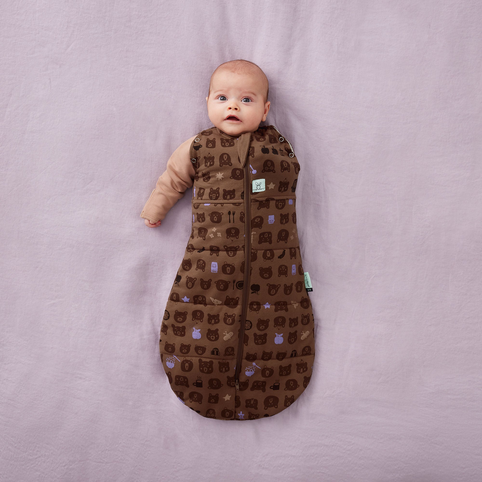ergoPouch Cocoon Swaddle Bag 2.5tog Picnic