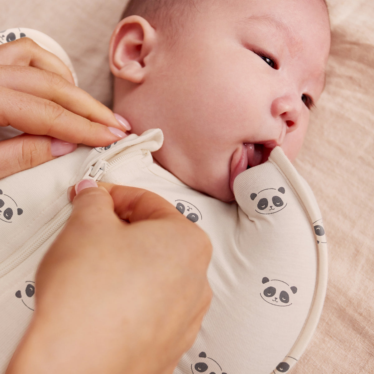 Love to Dream Swaddle Up 1.0 tog Cotton Cream Sleepy Pandas