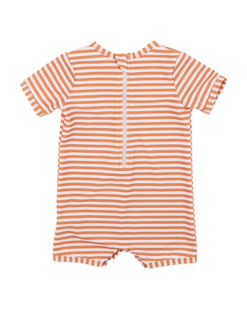 Harvey Stripe SS Rash Suit