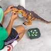  Dinosaur