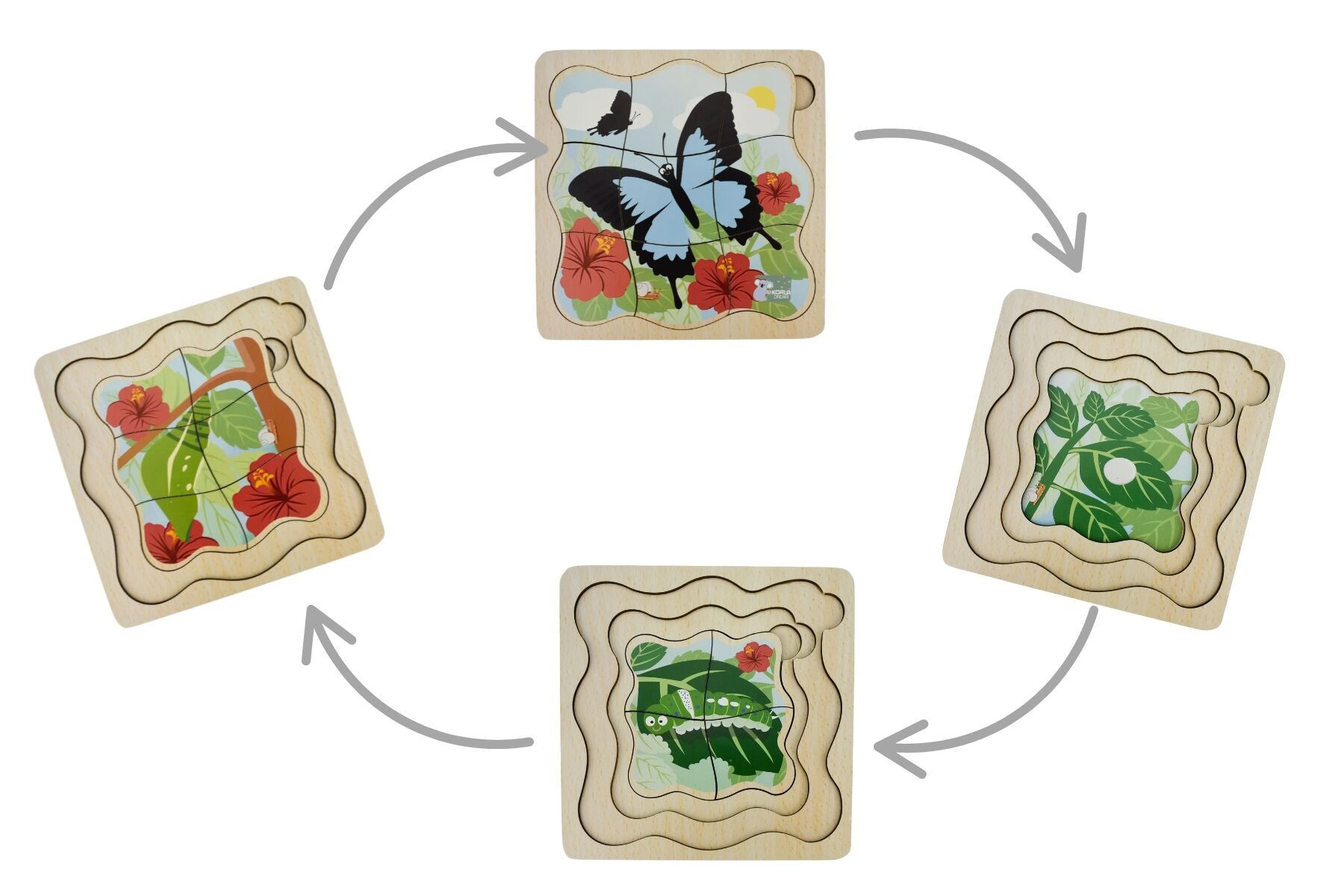 Wooden Bush Buddies Life Cycle Layer Puzzle Ulysses Butterfly