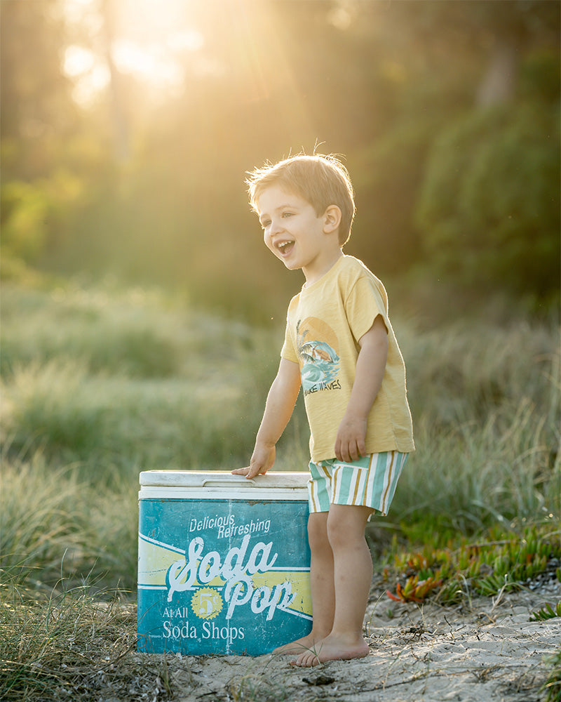 Fox and Finch Surfs Up Stripe Shorts