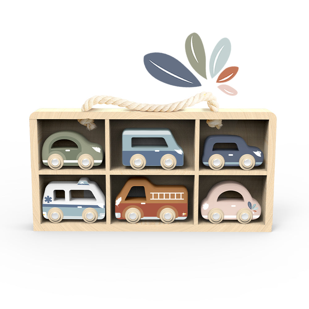 Speedy Monkey Car Display Case