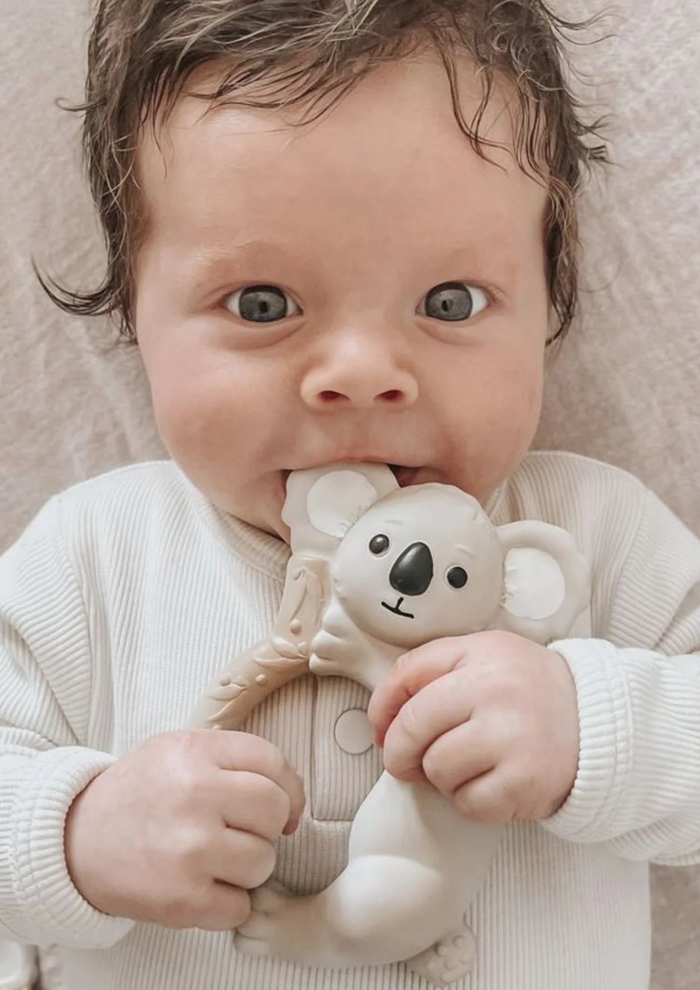 Winnie Parkes Banks the Koala Teething Ring