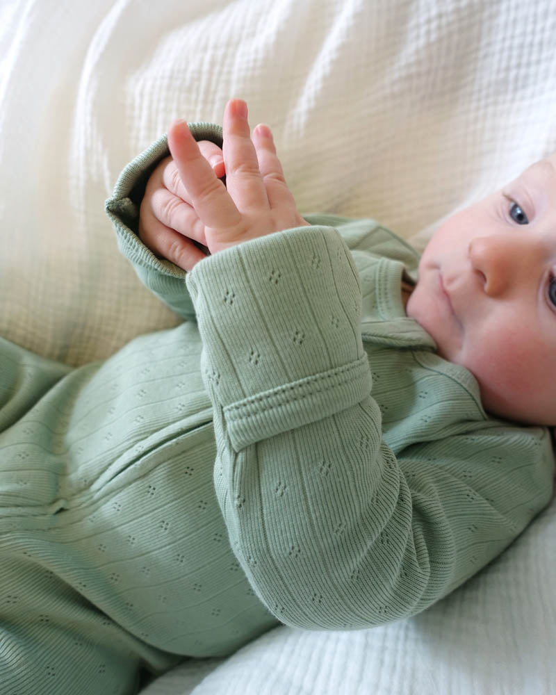 Bebe Sage Organic Pointelle Long Sleeve Zipsuit