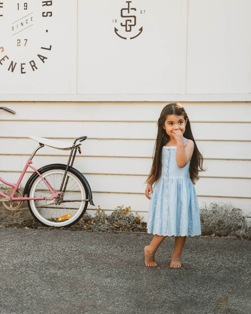 Bebe Zara Embroidered Dress