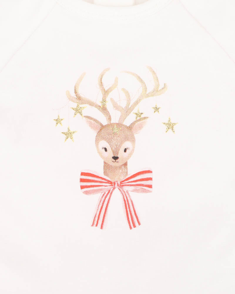 Festive Reindeer Set