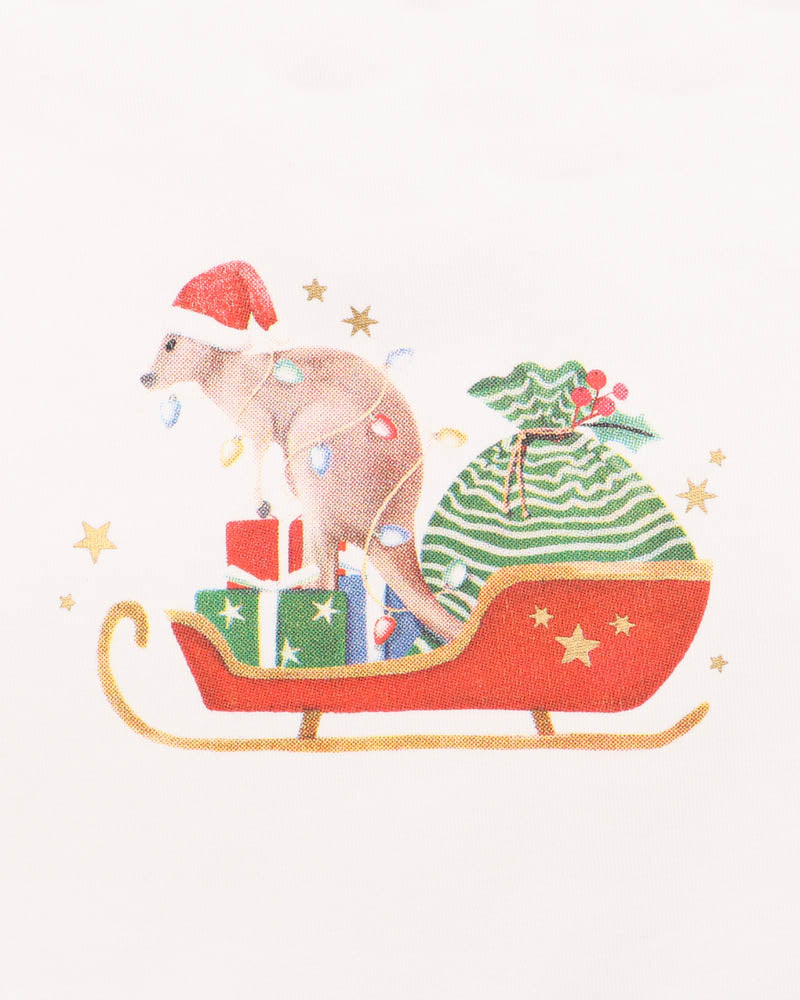 Festive Kangaroo Set
