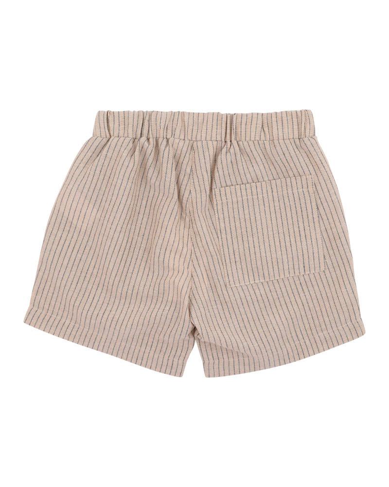 Evan Stripe Shorts
