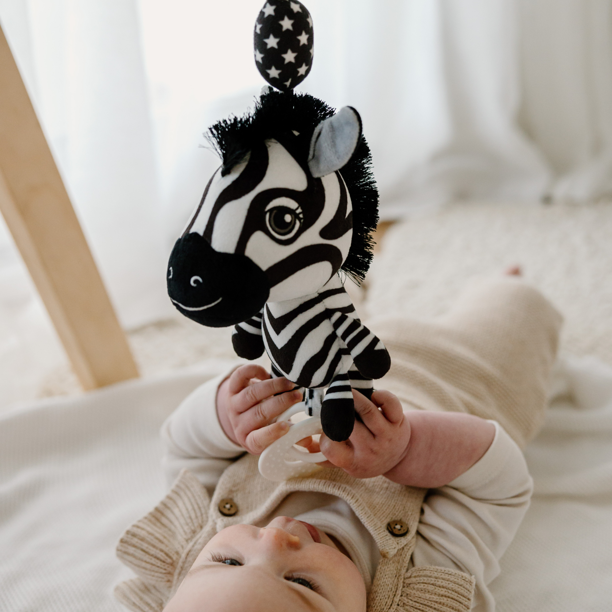 Young Wanderer Ziggy the Zebra Hanging Toy