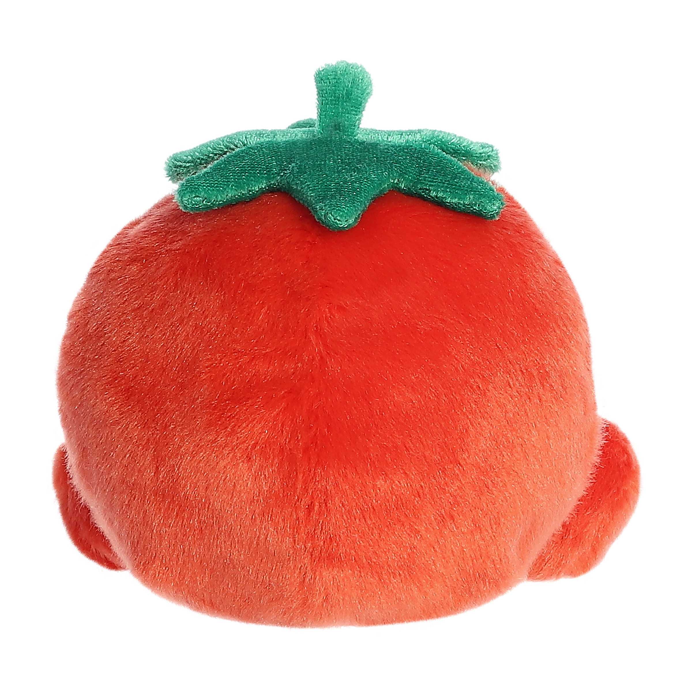 Palm Pal Boyd Tomato