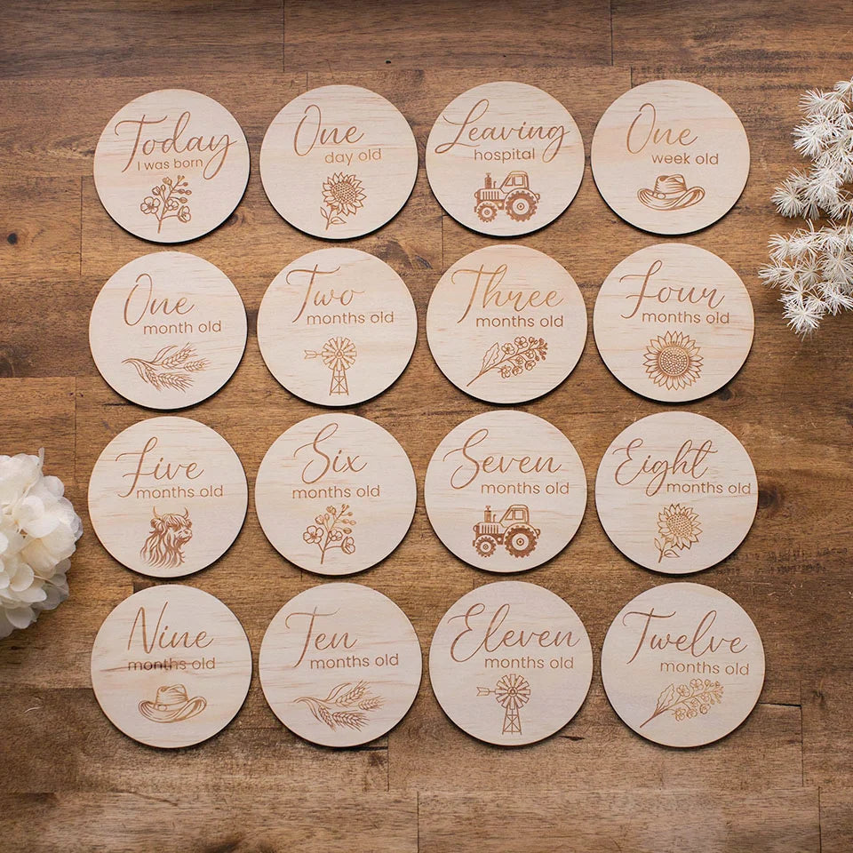 Hello Fern Wooden Month Milestone Discs - Country