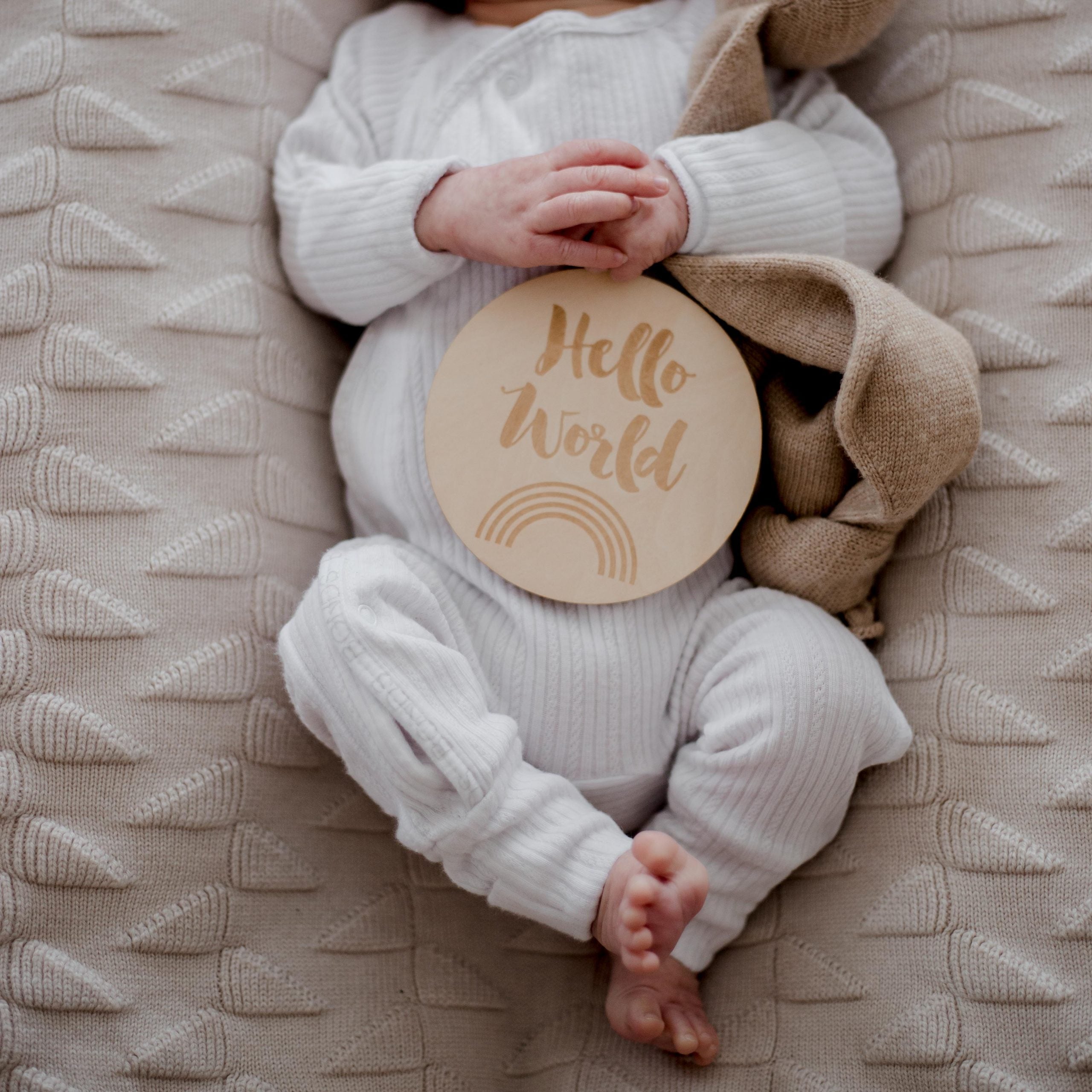 Zebra Babies Milestone Discs Hello World to 1 Year Old